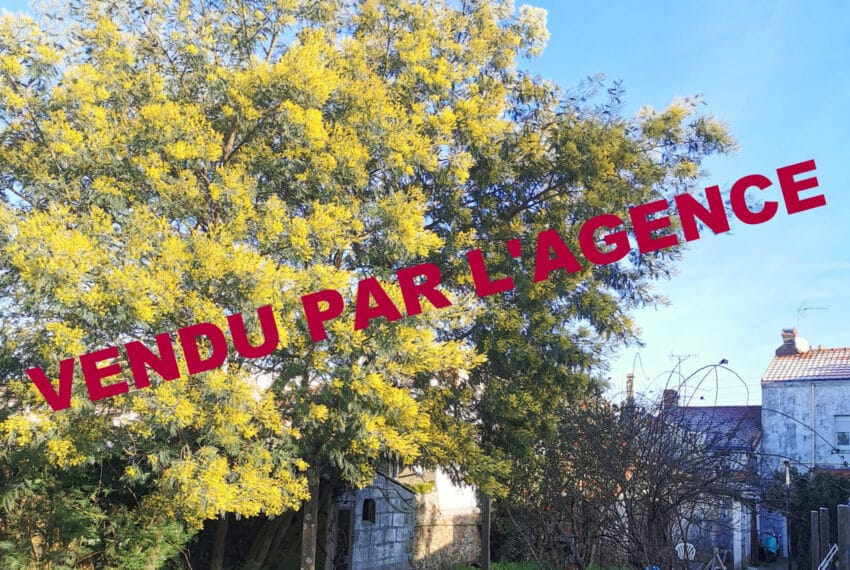 photo_00b6a130653f305a3eed18222a289b1c-21670