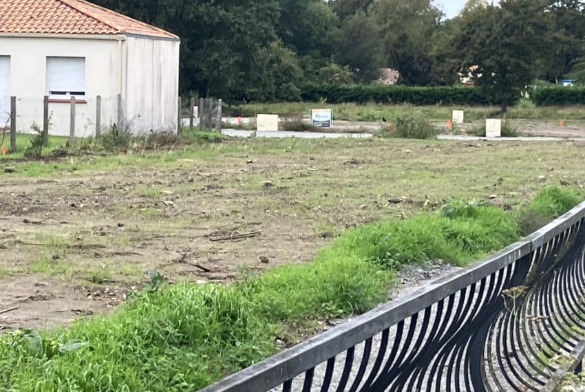 photo_1581ddd8b880c67d35ef155e263f3f81-21533