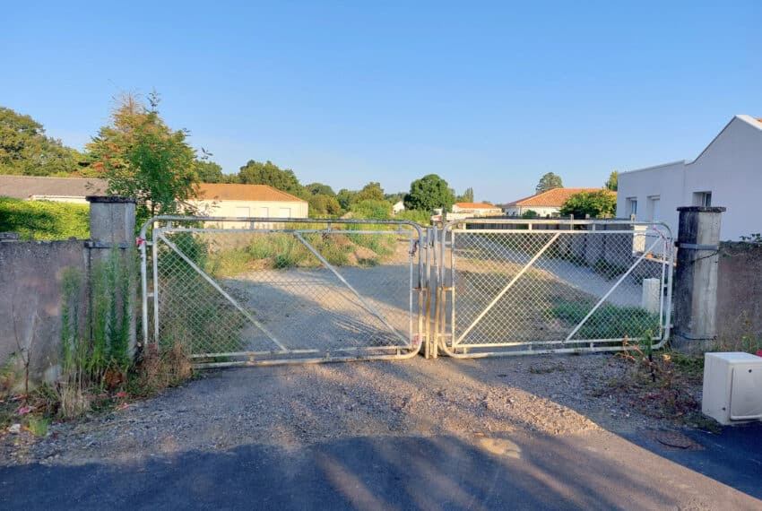 photo_2ad86242930b0792481212cececc5cb8-21831