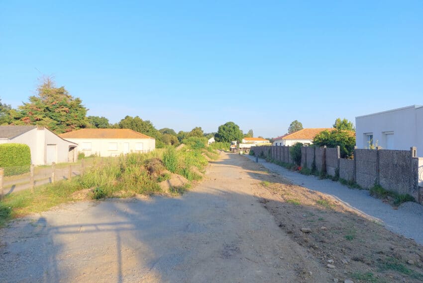 photo_2d64a638de487f76c8c90924f2e36718-21831