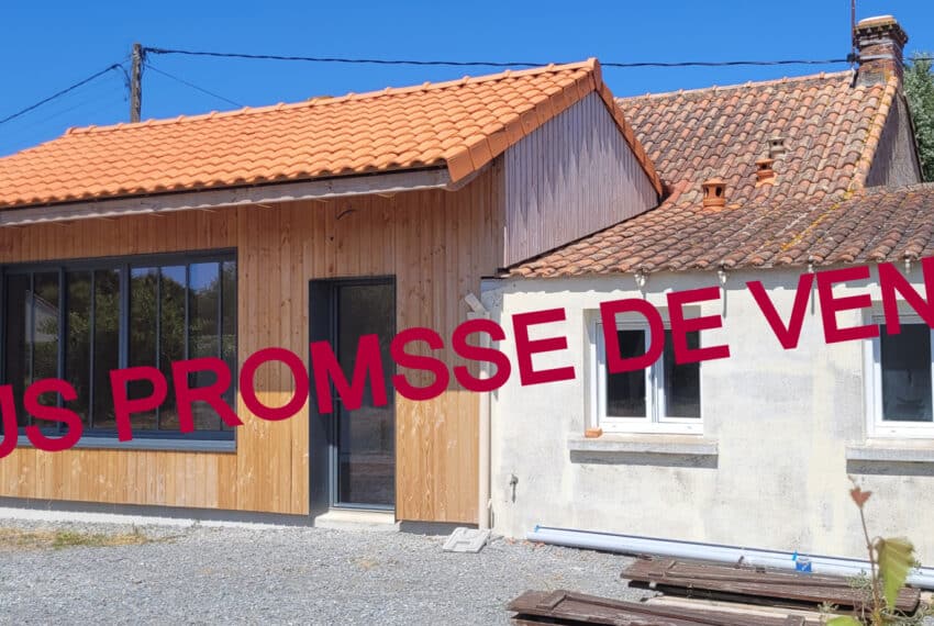 photo_45712ace60a9bfc5fe7fe8a1824adc79-21705