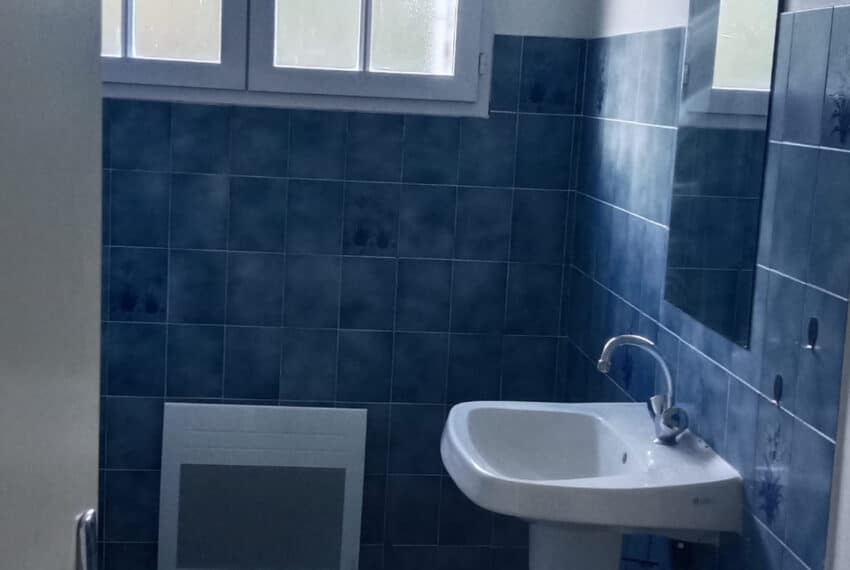 photo_48c01700a71a96d0c0b0fb2c99b651cf-21737