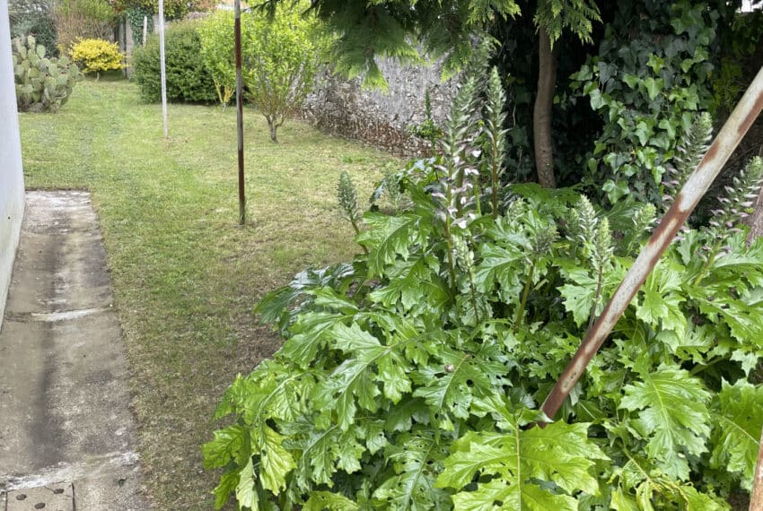 photo_49da18afcca948dd544ba790899699f3-21559