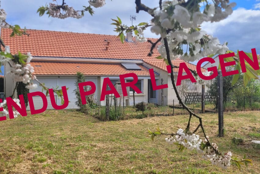 photo_4a15402a710e5b515b9f4ed57eddf2ef-21553