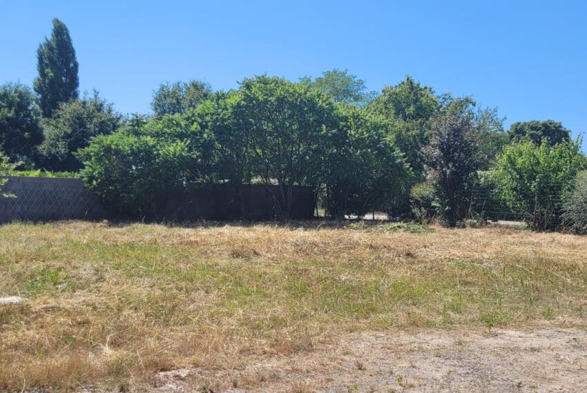 photo_4c7c853eada13f97375034ceafce3a45-21712