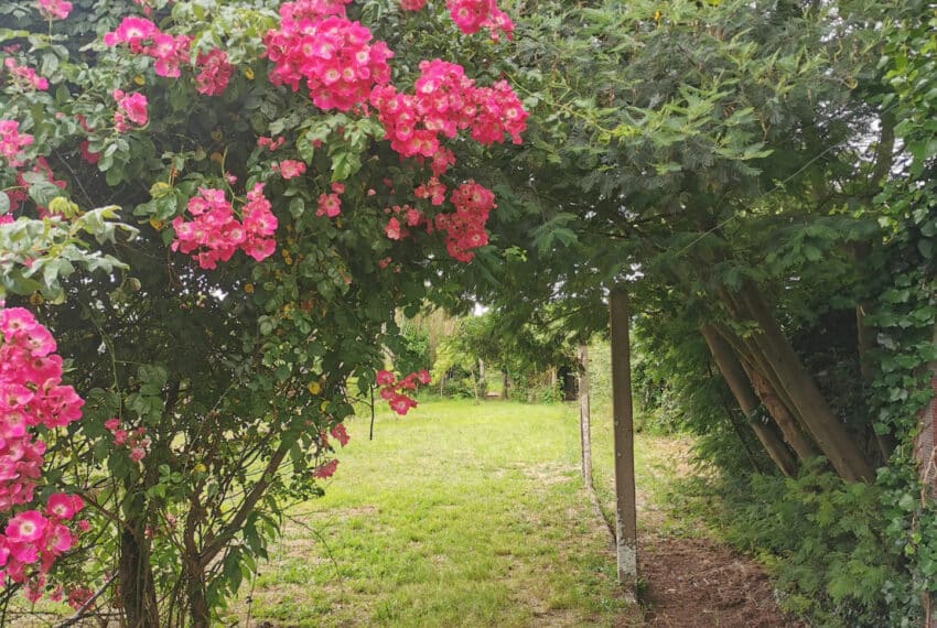 photo_608f877ac51a700b89bf782dbc85d070-21670