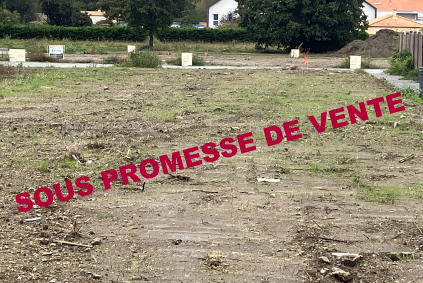 photo_757af8eeaaada4151188c36dcbb1dff9-21533