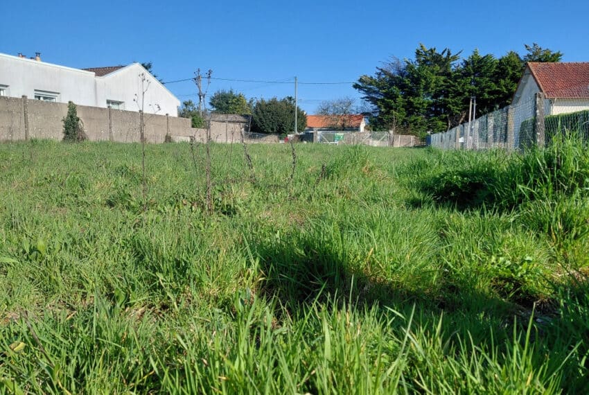 photo_765b502298525222c0fbf033b6c45e5b-21831