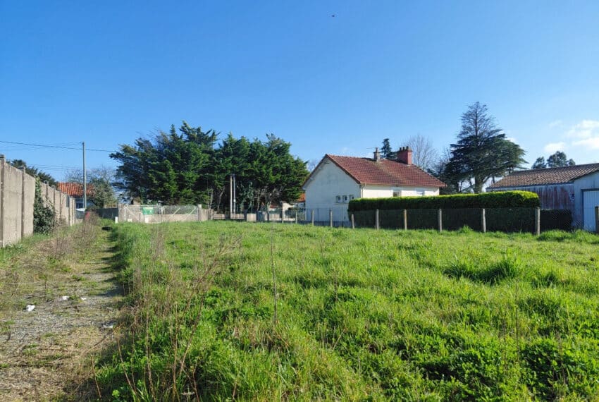 photo_91f3fd8e4dd157dd240955cba2eb7360-21831