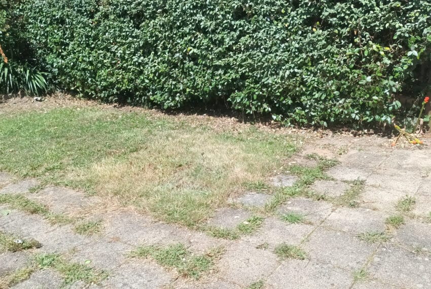 photo_d24a5a5bd06672490e1ee95c3def3139-21684