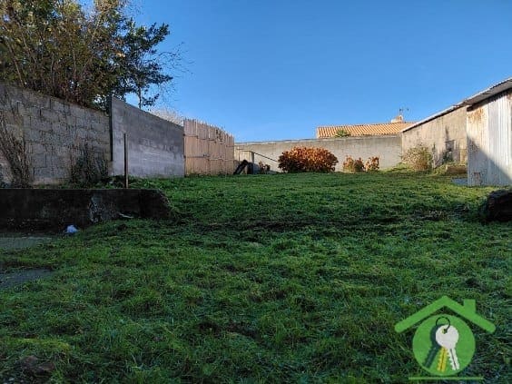 photo_0ea4d94015fdec0542c59bc7ae6fdb51-21911