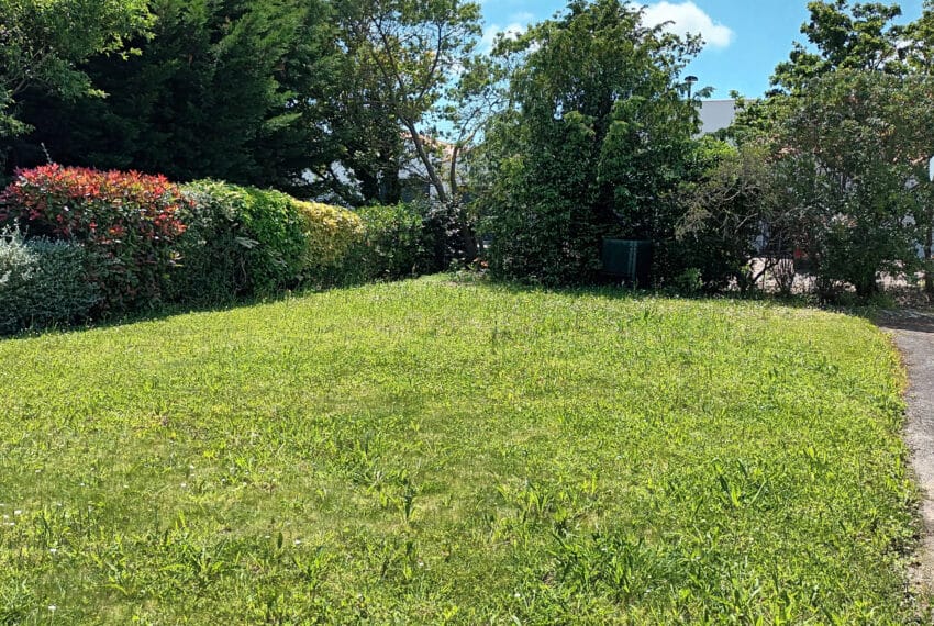 photo_ce48c60c8102e9fed50e28c17e937cbb-21976