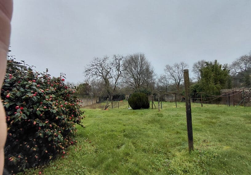 photo_290c5cfefb439a44a7c813eb61780500-22455