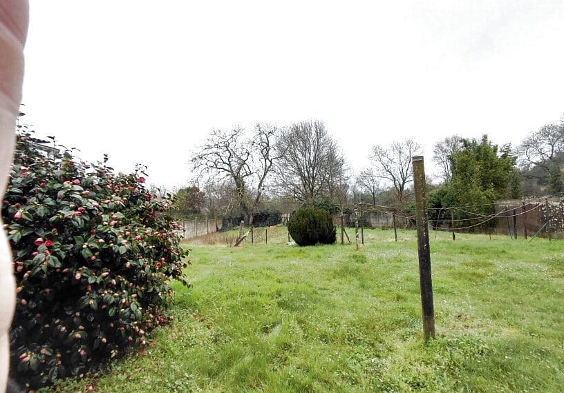 photo_290c5cfefb439a44a7c813eb61780500_Inc_0-22455