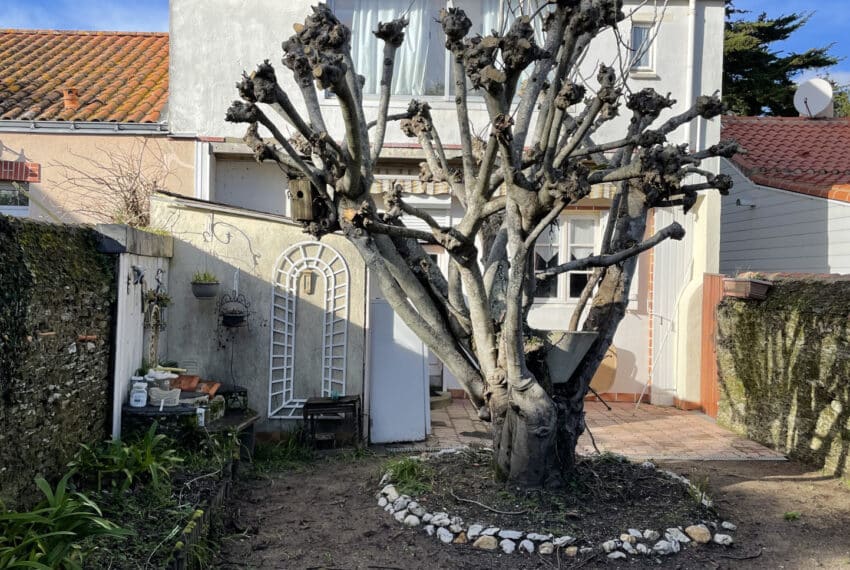 photo_f3851e67cc768f9d0cf1b651969ee3e6-22607